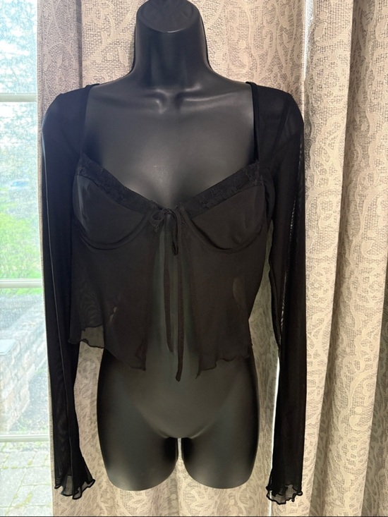 Princess Polly Other - Princess polly Tasia long sleeve mesh Sheer Top - NWT